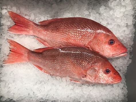 red snapper magsaysay|Seafood cravings and more at Redsnapper Magsaysay.